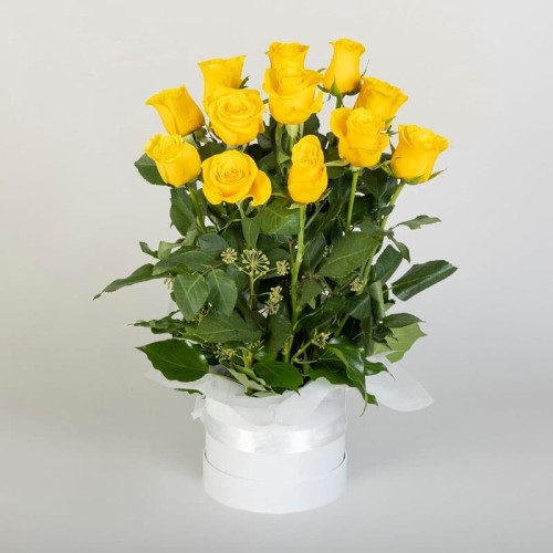 Rose Lover in Yellow
